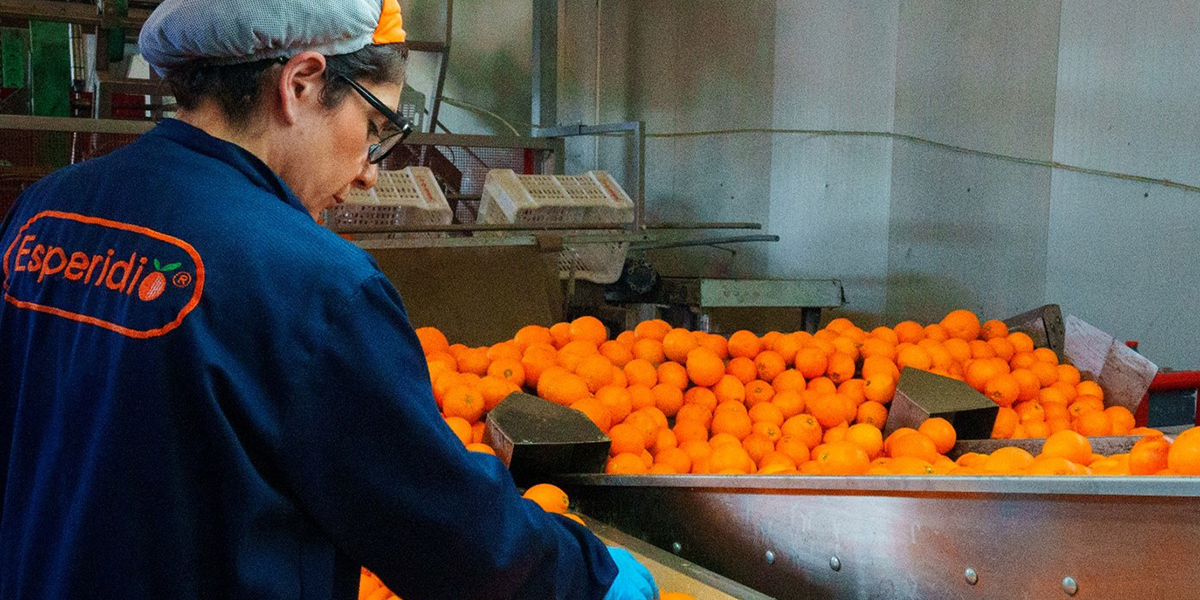 Op Esperidio, si tirano le somme della stagione agrumicola
